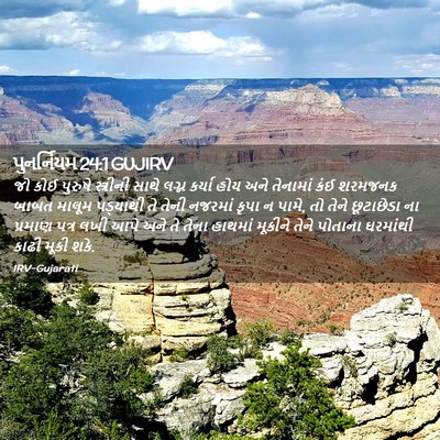 Picture 02 - પુનર્નિયમ 24:1 GUJIRV - જો કોઈ પુરુષે - Bible Verse Picture