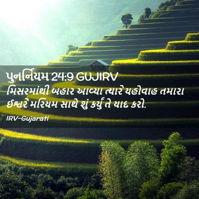 Picture 02 - પુનર્નિયમ 24:9 GUJIRV - મિસરમાંથી બહાર - Bible Verse Picture