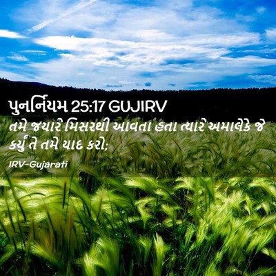 Picture 02 - પુનર્નિયમ 25:17 GUJIRV - તમે જયારે મિસરથી - Bible Verse Picture