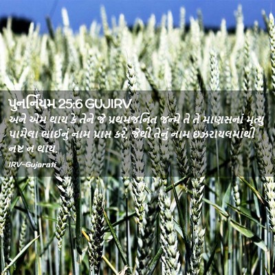 Picture 02 - પુનર્નિયમ 25:6 GUJIRV - અને એમ થાય કે તેને - Bible Verse Picture