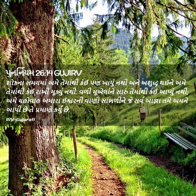 Picture 02 - પુનર્નિયમ 26:14 GUJIRV - શોકના સમયમાં અમે - Bible Verse Picture