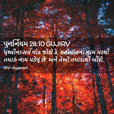 Picture 02 - પુનર્નિયમ 28:10 GUJIRV - પૃથ્વીના સર્વ લોક - Bible Verse Picture