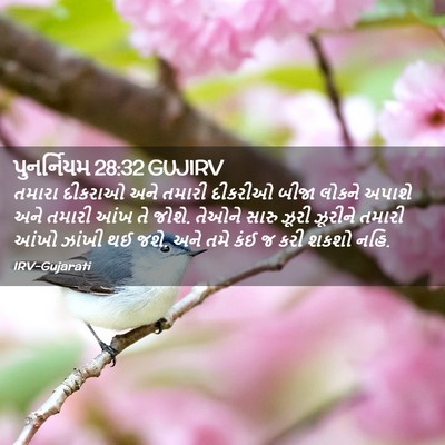 Picture 02 - પુનર્નિયમ 28:32 GUJIRV - તમારા દીકરાઓ અને - Bible Verse Picture
