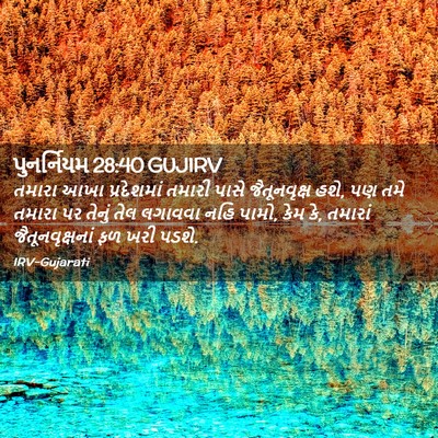 Picture 02 - પુનર્નિયમ 28:40 GUJIRV - તમારા આખા - Bible Verse Picture