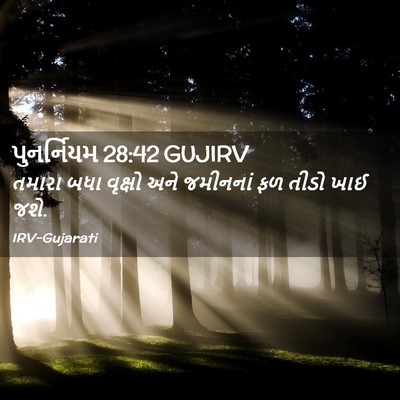 Picture 02 - પુનર્નિયમ 28:42 GUJIRV - તમારા બધા વૃક્ષો - Bible Verse Picture