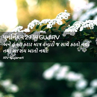 Picture 02 - પુનર્નિયમ 29:14 GUJIRV - અને હું આ કરાર - Bible Verse Picture