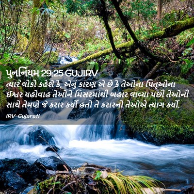 Picture 02 - પુનર્નિયમ 29:25 GUJIRV - ત્યારે લોકો કહેશે - Bible Verse Picture