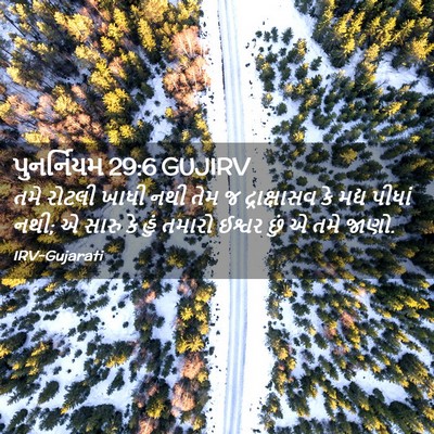 Picture 02 - પુનર્નિયમ 29:6 GUJIRV - તમે રોટલી ખાધી નથી - Bible Verse Picture