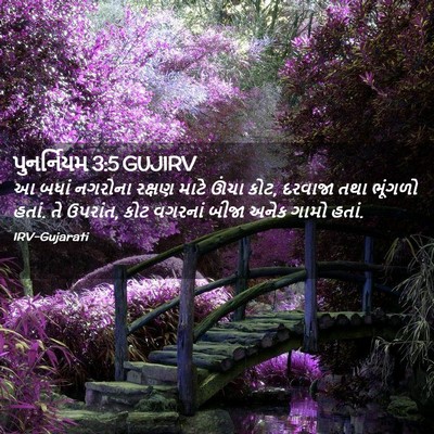 Picture 02 - પુનર્નિયમ 3:5 GUJIRV - આ બધાં નગરોના - Bible Verse Picture