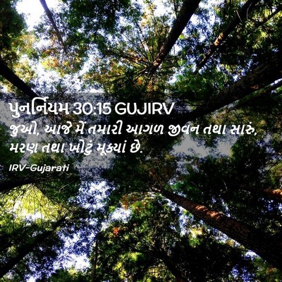 Picture 02 - પુનર્નિયમ 30:15 GUJIRV - જુઓ, આજે મેં તમારી - Bible Verse Picture