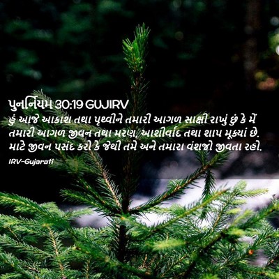 Picture 02 - પુનર્નિયમ 30:19 GUJIRV - હું આજે આકાશ તથા - Bible Verse Picture