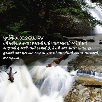 Picture 02 - પુનર્નિયમ 30:2 GUJIRV - તમે યહોવાહ તમારા - Bible Verse Picture