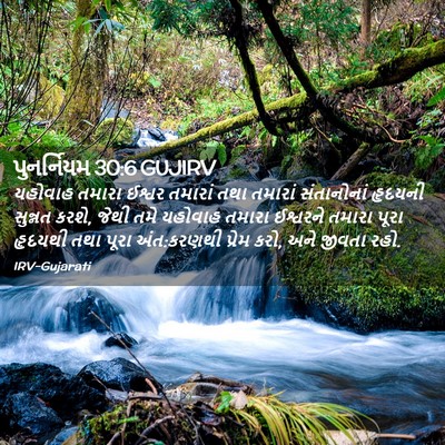 Picture 02 - પુનર્નિયમ 30:6 GUJIRV - યહોવાહ તમારા - Bible Verse Picture