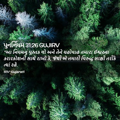 Picture 02 - પુનર્નિયમ 31:26 GUJIRV - “આ નિયમનું પુસ્તક - Bible Verse Picture