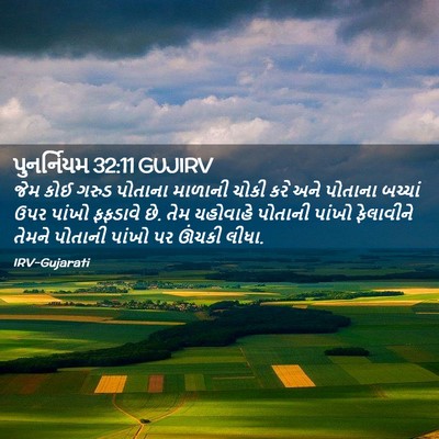 Picture 02 - પુનર્નિયમ 32:11 GUJIRV - જેમ કોઈ ગરુડ - Bible Verse Picture