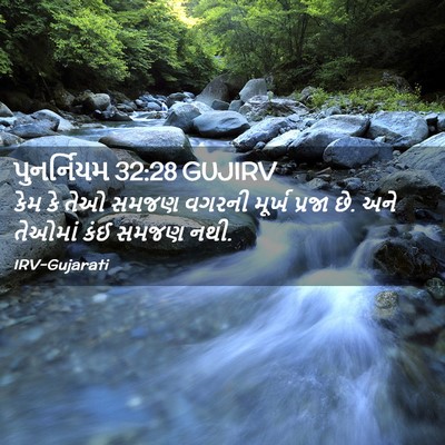 Picture 02 - પુનર્નિયમ 32:28 GUJIRV - કેમ કે તેઓ સમજણ - Bible Verse Picture