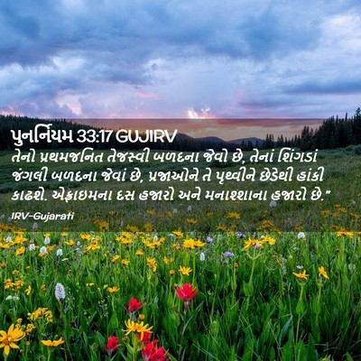 Picture 02 - પુનર્નિયમ 33:17 GUJIRV - તેનો પ્રથમજનિત - Bible Verse Picture