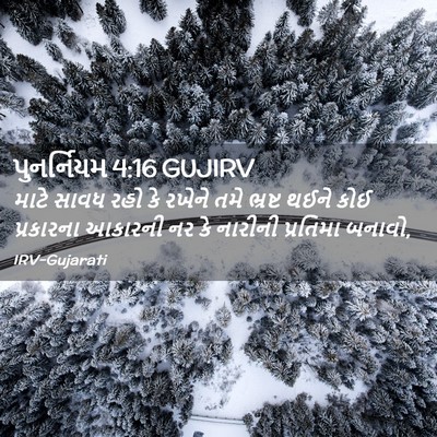 Picture 02 - પુનર્નિયમ 4:16 GUJIRV - માટે સાવધ રહો કે - Bible Verse Picture