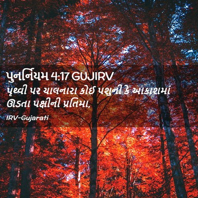 Picture 02 - પુનર્નિયમ 4:17 GUJIRV - પૃથ્વી પર ચાલનારા - Bible Verse Picture