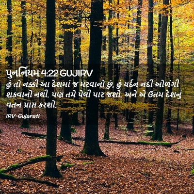 Picture 02 - પુનર્નિયમ 4:22 GUJIRV - હું તો નક્કી આ - Bible Verse Picture