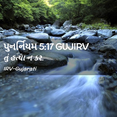 Picture 02 - પુનર્નિયમ 5:17 GUJIRV - તું હત્યા ન - Bible Verse Picture