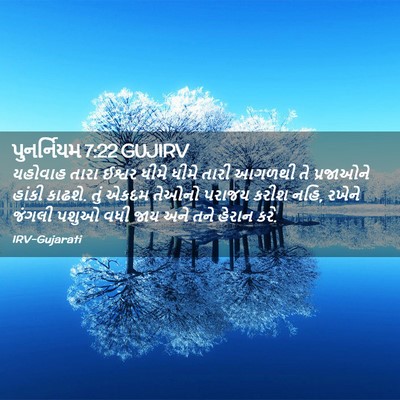 Picture 02 - પુનર્નિયમ 7:22 GUJIRV - યહોવાહ તારા ઈશ્વર - Bible Verse Picture