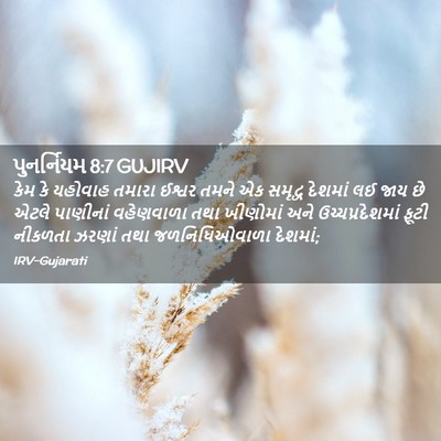 Picture 02 - પુનર્નિયમ 8:7 GUJIRV - કેમ કે યહોવાહ - Bible Verse Picture