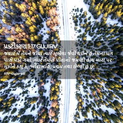 Picture 02 - પ્રકટીકરણ 1:17 GUJIRV - જયારે મેં તેમને - Bible Verse Picture