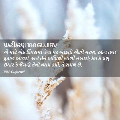 Picture 02 - પ્રકટીકરણ 18:8 GUJIRV - એ માટે એક દિવસમાં - Bible Verse Picture