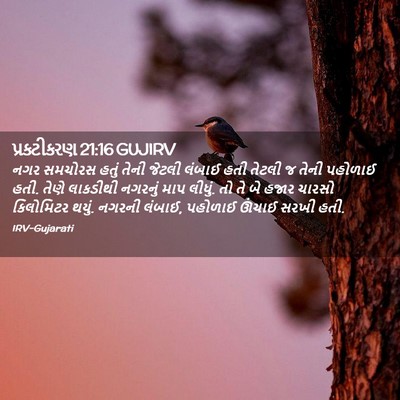 Picture 02 - પ્રકટીકરણ 21:16 GUJIRV - નગર સમચોરસ હતું - Bible Verse Picture