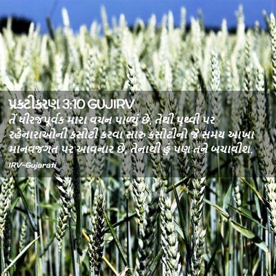 Picture 02 - પ્રકટીકરણ 3:10 GUJIRV - તેં ધીરજપૂર્વક - Bible Verse Picture