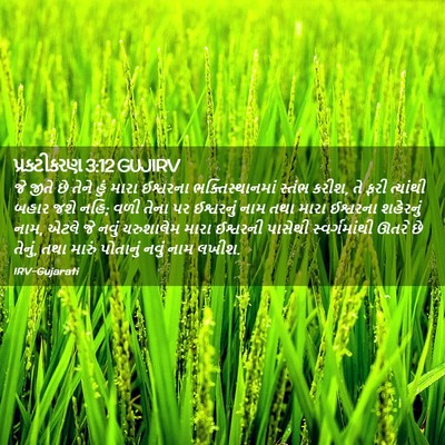 Picture 02 - પ્રકટીકરણ 3:12 GUJIRV - જે જીતે છે તેને હું - Bible Verse Picture