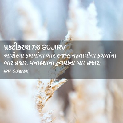 Picture 02 - પ્રકટીકરણ 7:6 GUJIRV - આશેરના કુળમાંના - Bible Verse Picture