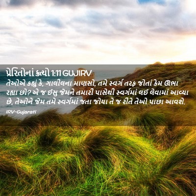 Picture 02 - પ્રેરિતોનાં ક્રત્યો 1:11 GUJIRV - તેઓએ કહ્યું કે, - Bible Verse Picture