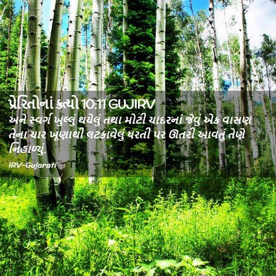 Picture 02 - પ્રેરિતોનાં ક્રત્યો 10:11 GUJIRV - અને સ્વર્ગ - Bible Verse Picture
