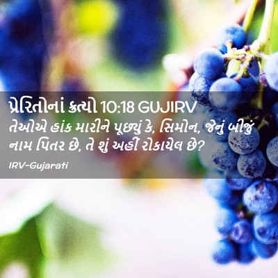Picture 02 - પ્રેરિતોનાં ક્રત્યો 10:18 GUJIRV - તેઓએ હાંક મારીને - Bible Verse Picture
