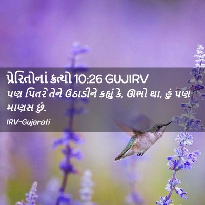 Picture 02 - પ્રેરિતોનાં ક્રત્યો 10:26 GUJIRV - પણ પિતરે તેને - Bible Verse Picture