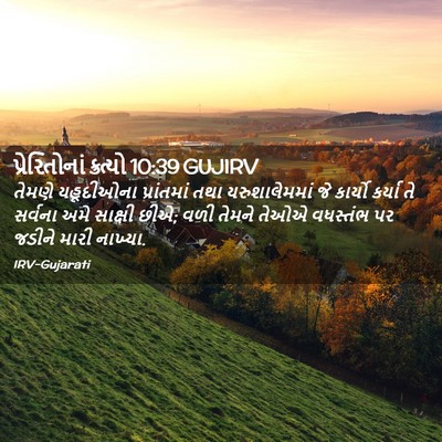 Picture 02 - પ્રેરિતોનાં ક્રત્યો 10:39 GUJIRV - તેમણે યહૂદીઓના - Bible Verse Picture