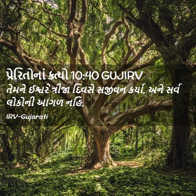 Picture 02 - પ્રેરિતોનાં ક્રત્યો 10:40 GUJIRV - તેમને ઈશ્વરે - Bible Verse Picture