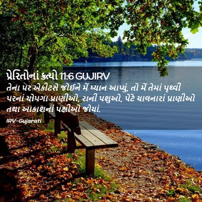 Picture 02 - પ્રેરિતોનાં ક્રત્યો 11:6 GUJIRV - તેના પર એકીટસે - Bible Verse Picture