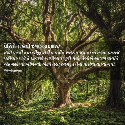 Picture 02 - પ્રેરિતોનાં ક્રત્યો 12:10 GUJIRV - તેઓ પહેલી તથા બીજી - Bible Verse Picture