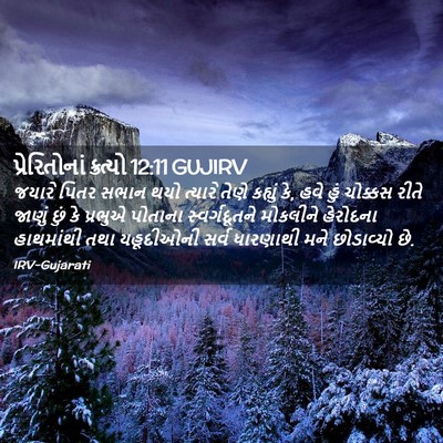 Picture 02 - પ્રેરિતોનાં ક્રત્યો 12:11 GUJIRV - જયારે પિતર સભાન - Bible Verse Picture