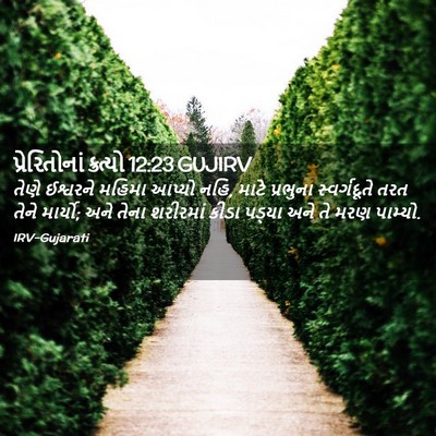 Picture 02 - પ્રેરિતોનાં ક્રત્યો 12:23 GUJIRV - તેણે ઈશ્વરને - Bible Verse Picture
