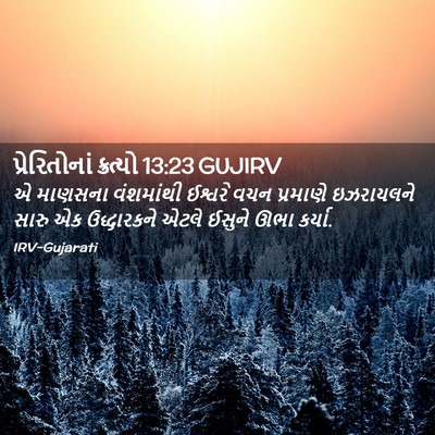 Picture 02 - પ્રેરિતોનાં ક્રત્યો 13:23 GUJIRV - એ માણસના વંશમાંથી - Bible Verse Picture