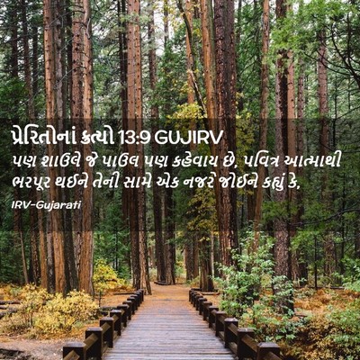 Picture 02 - પ્રેરિતોનાં ક્રત્યો 13:9 GUJIRV - પણ શાઉલે જે પાઉલ પણ - Bible Verse Picture