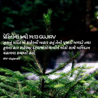 Picture 02 - પ્રેરિતોનાં ક્રત્યો 14:13 GUJIRV - ઝૂસનું મંદિર એ - Bible Verse Picture