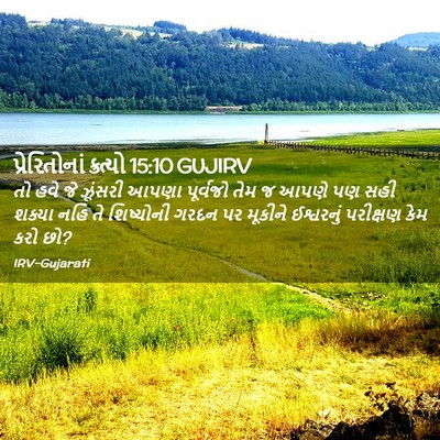 Picture 02 - પ્રેરિતોનાં ક્રત્યો 15:10 GUJIRV - તો હવે જે ઝૂંસરી - Bible Verse Picture