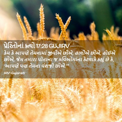 Picture 02 - પ્રેરિતોનાં ક્રત્યો 17:28 GUJIRV - કેમ કે આપણે - Bible Verse Picture