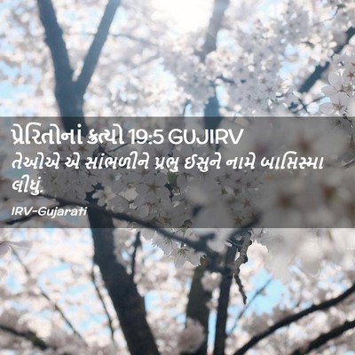 Picture 02 - પ્રેરિતોનાં ક્રત્યો 19:5 GUJIRV - તેઓએ એ સાંભળીને - Bible Verse Picture