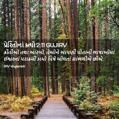 Picture 02 - પ્રેરિતોનાં ક્રત્યો 2:11 GUJIRV - ક્રીતીઓ તથા આરબો, - Bible Verse Picture